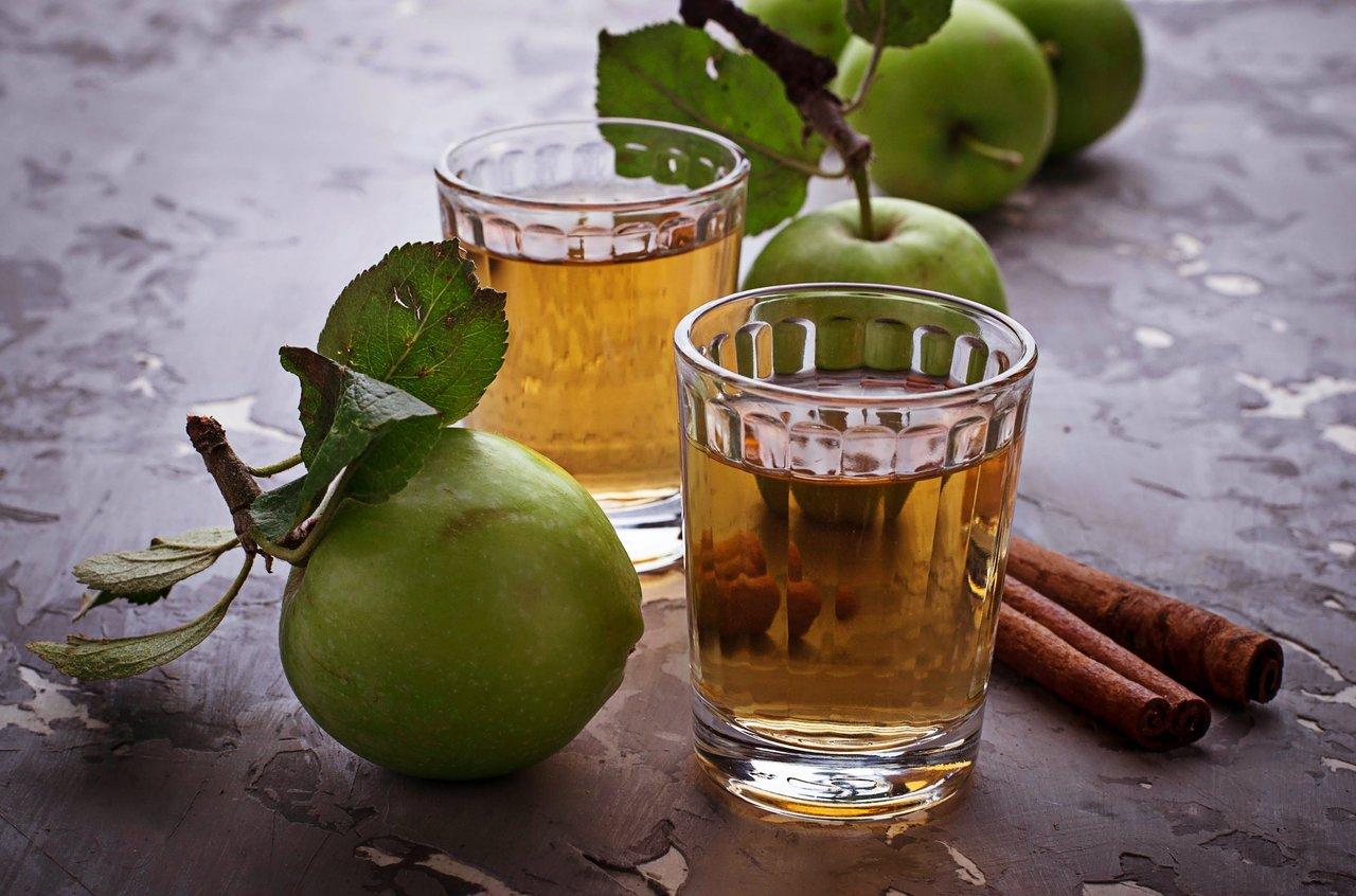 Dégustation de cidre frais au sein d’un verger de pommiers en Normandie, une étape incontournable.